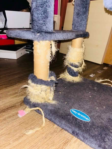 Photo of free Grey cat tree (North Hollywood) #4