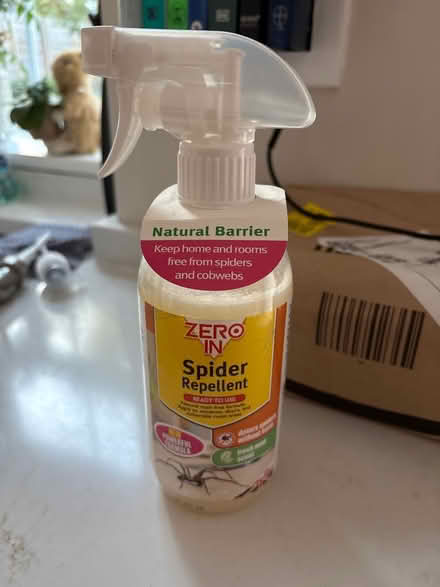 Photo of free Spider repellent spray (Romsey) #1