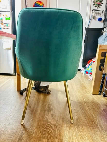 Photo of free Green “velvet” chair (amazon) (North Hollywood) #3