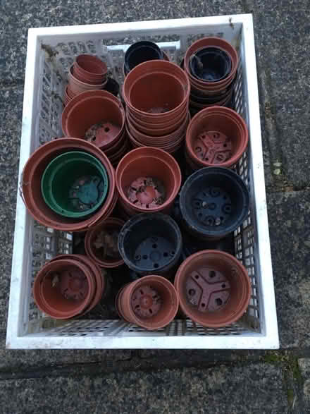 Photo of free flower pots (GU14) #1