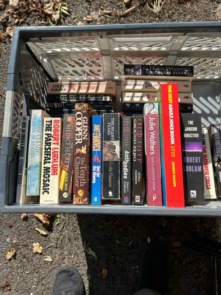 Photo of free Paperbacks (RG30 Tilehurst) #3