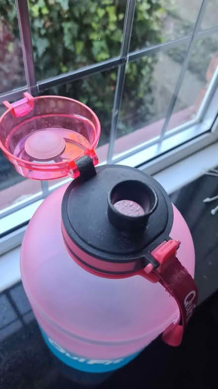 Photo of free 2.2 L Water bottle (London SE17) #4