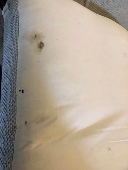 Photo of free Large Laura Ashley Sofa (Newby CA10) #2