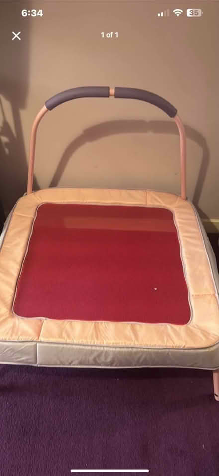 Photo of free Kids trampoline (Bechstein meadow BA14) #1