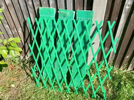 Photo of free 4 x plastic trellis (Bushey Mill WD23) #1