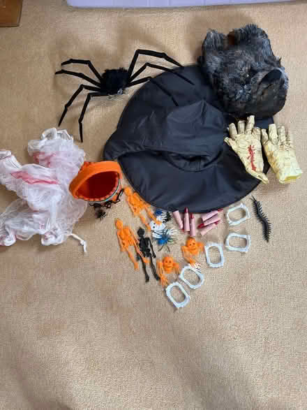 Photo of free Halloween selection (Dinton SP3) #1