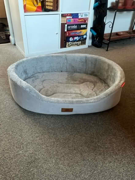 Photo of free Medium dog bed (SG1 Stevenage) #2