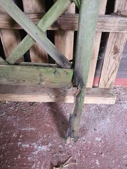 Photo of free A trellis needs repair (Street on the Fosse BA4) #4