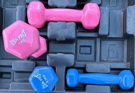 Photo of free 2 sets of weights (Hemel Hempstead) #1