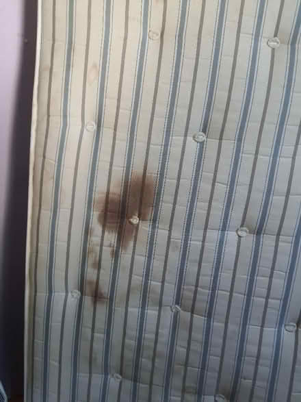 Photo of free Single orthopaedic mattress (Box GL6) #2