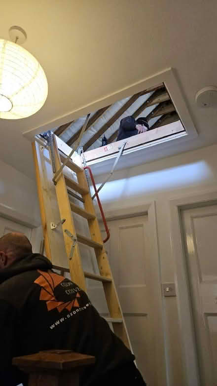 Photo of free Loft hatch / ladder (Cutteslowe OX2) #4