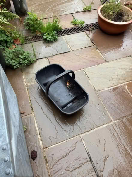 Photo of free Gardeners trug (Central Tonbridge TN9) #1