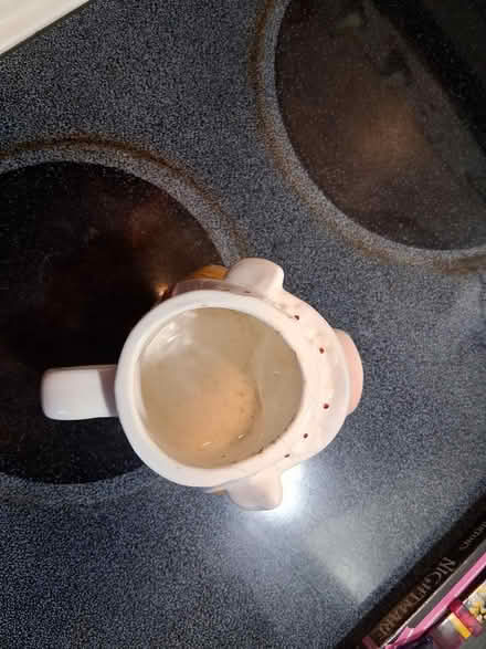 Photo of free Miss Piggy (Burien) #3