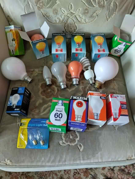 Photo of free Light bulbs (Broomhill S10) #1