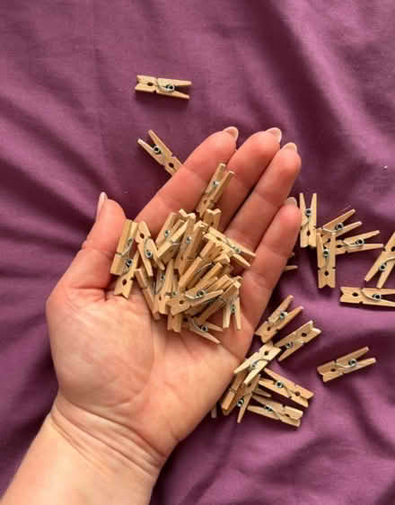 Photo of free 48 mini pegs (Bs15 4ub) #1