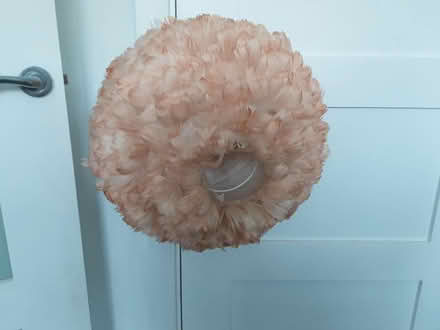 Photo of free Lamp shade (L25) #1