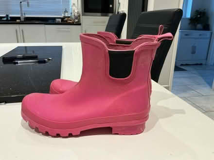 Photo of free Adult size 5 ankle wellies, excellent condition (Appleton OX13) #3