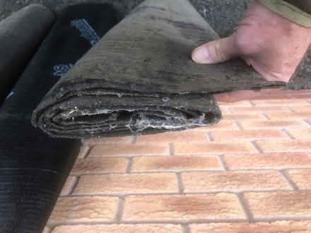 Photo of free Roofing felt (Presteigne LD8) #2