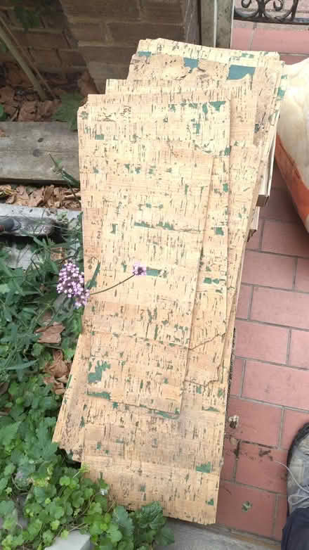Photo of free Beautiful cork sheets (SW11 5) #2