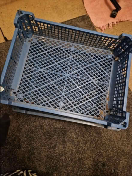 Photo of free mushroom crates (Wigmore HR6) #1