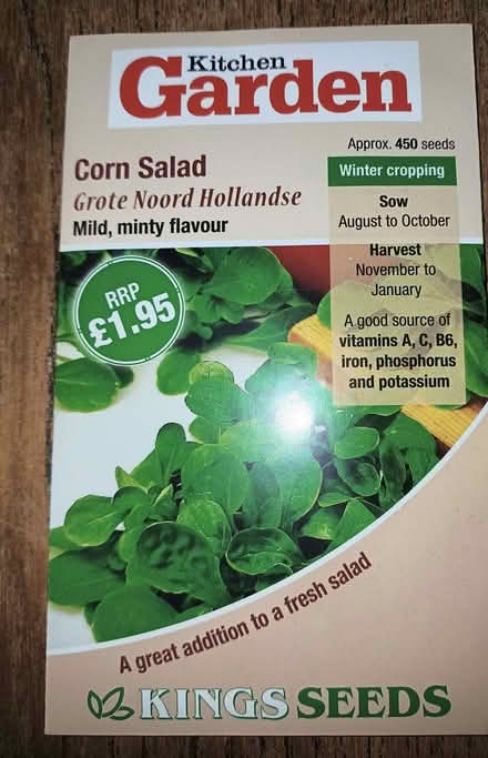 Photo of free Corn Salad seeds. (Chichester PO19) #1