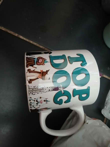 Photo of free Large cup (Weeke SO22) #1