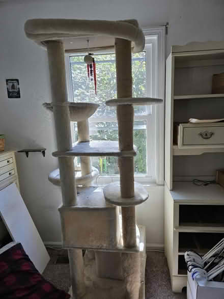Photo of free Cat Tree (Wards Corner) #1