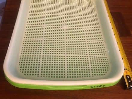 Photo of free Plastic trays (Capitol Hill) #2