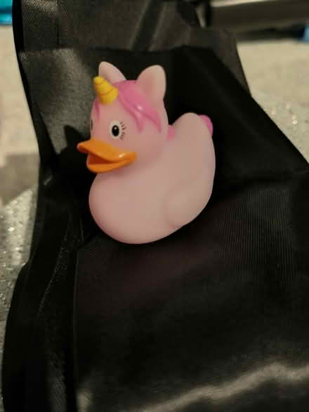 Photo of free Small rubber duck (Colwick NG4) #1