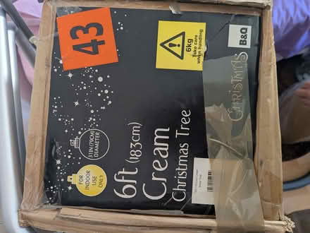 Photo of free Xmas Tree (Royal Standard SE7) #2