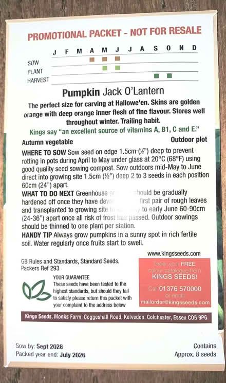 Photo of free Pumpkin seeds. (Chichester PO19) #2