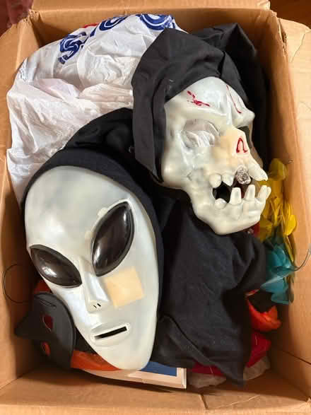 Photo of free Halloween decorations & costumes (Los Altos Grant and Fremont) #2