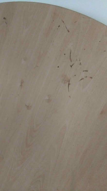 Photo of free Giant round table (EH1 3AT) #4