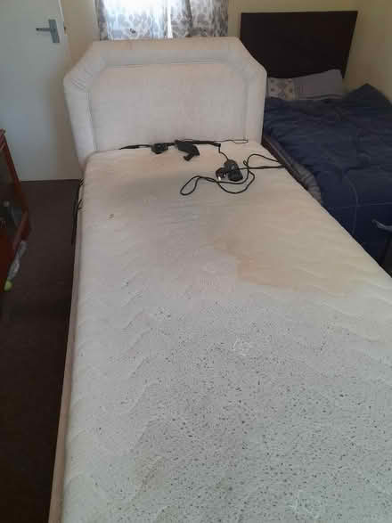 Photo of free Electric bed single (Wellington TA21) #1