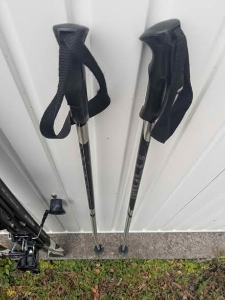 Photo of free Skis, poles and bag (BA1) #3