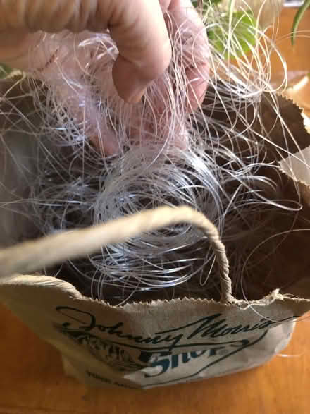 Photo of free Fishing line (Cambrian) #1