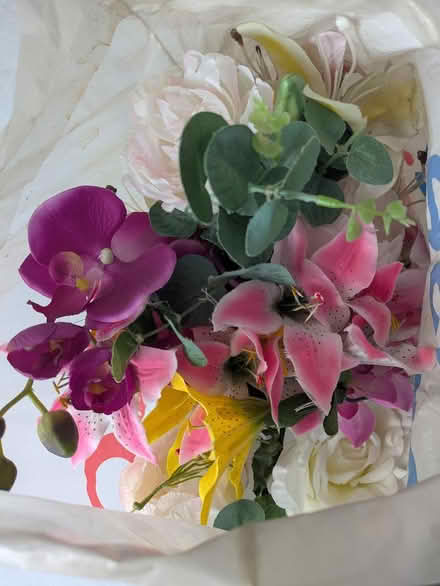 Photo of free Sleeping bag, rice cooker, tree (E14 Isle of Dogs) #1