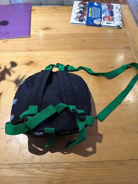 Photo of free Dinosaur backpack (Billericay CM12) #2