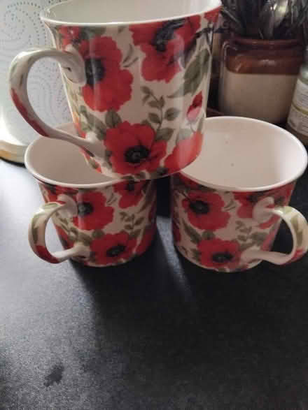 Photo of free Teacups - bone china (Chapel Allerton LS7) #1