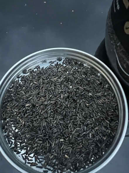 Photo of free Niger bird seed (Syston - LE7) #2
