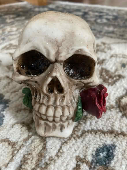 Photo of free Skull with rose (N14 Oakwood Park) #1