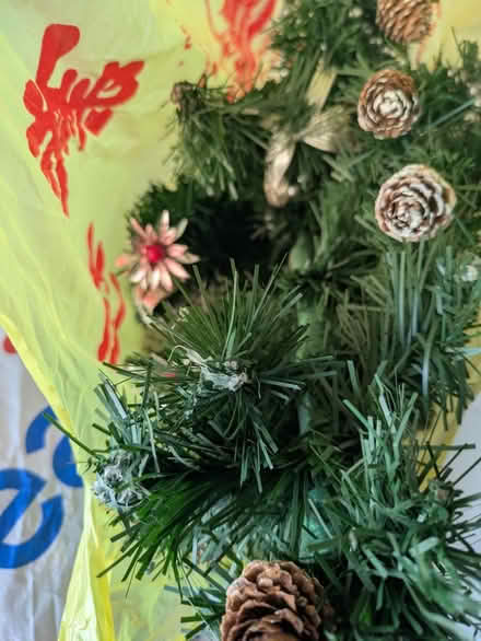 Photo of free Sleeping bag, rice cooker, tree (E14 Isle of Dogs) #3