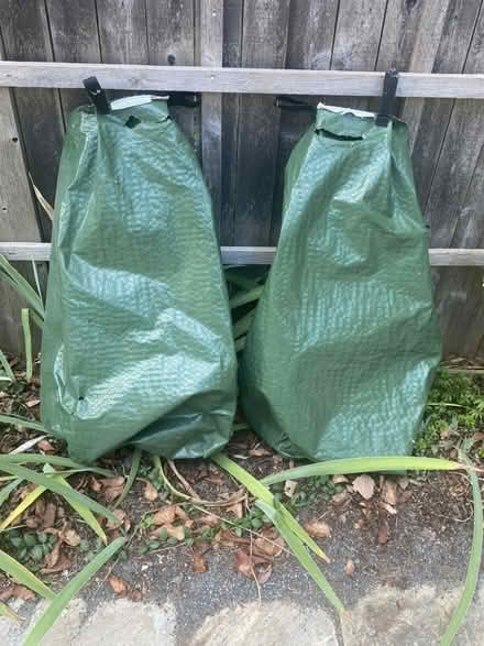 Photo of free Tree gators (2) (Nr Fresh Pond & Mt Auburn Cem.) #1