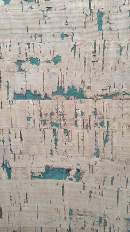 Photo of free Beautiful cork sheets (SW11 5) #3