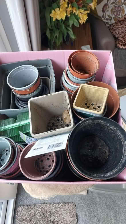 Photo of free Empty pots anyone? Jersey Farm (St Albans Jersey Farm AL4) #1