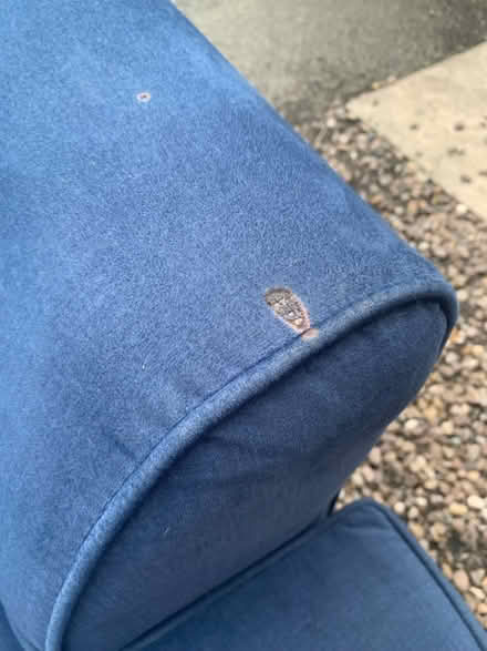 Photo of free Navy blue arm chair (Derby city DE1) #3