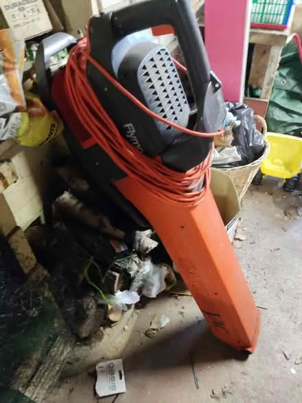 Photo of free Flymo garden vac (The Folly BN7) #1