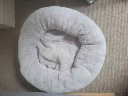 Photo of free Cat beds (Rowanfield GL51) #1