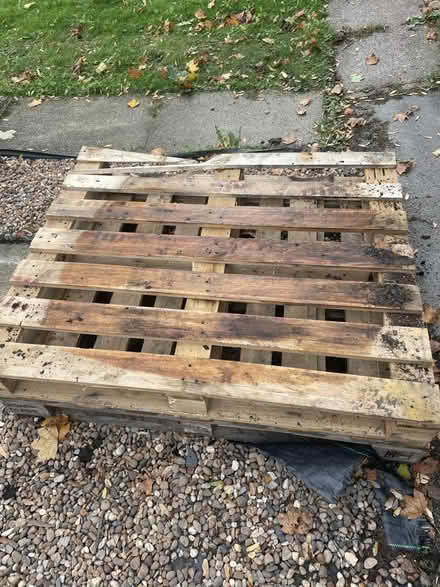 Photo of free Wooden palettes (Wisewood S6) #1