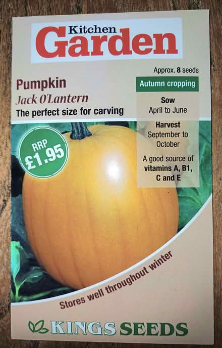 Photo of free Pumpkin seeds. (Chichester PO19) #1